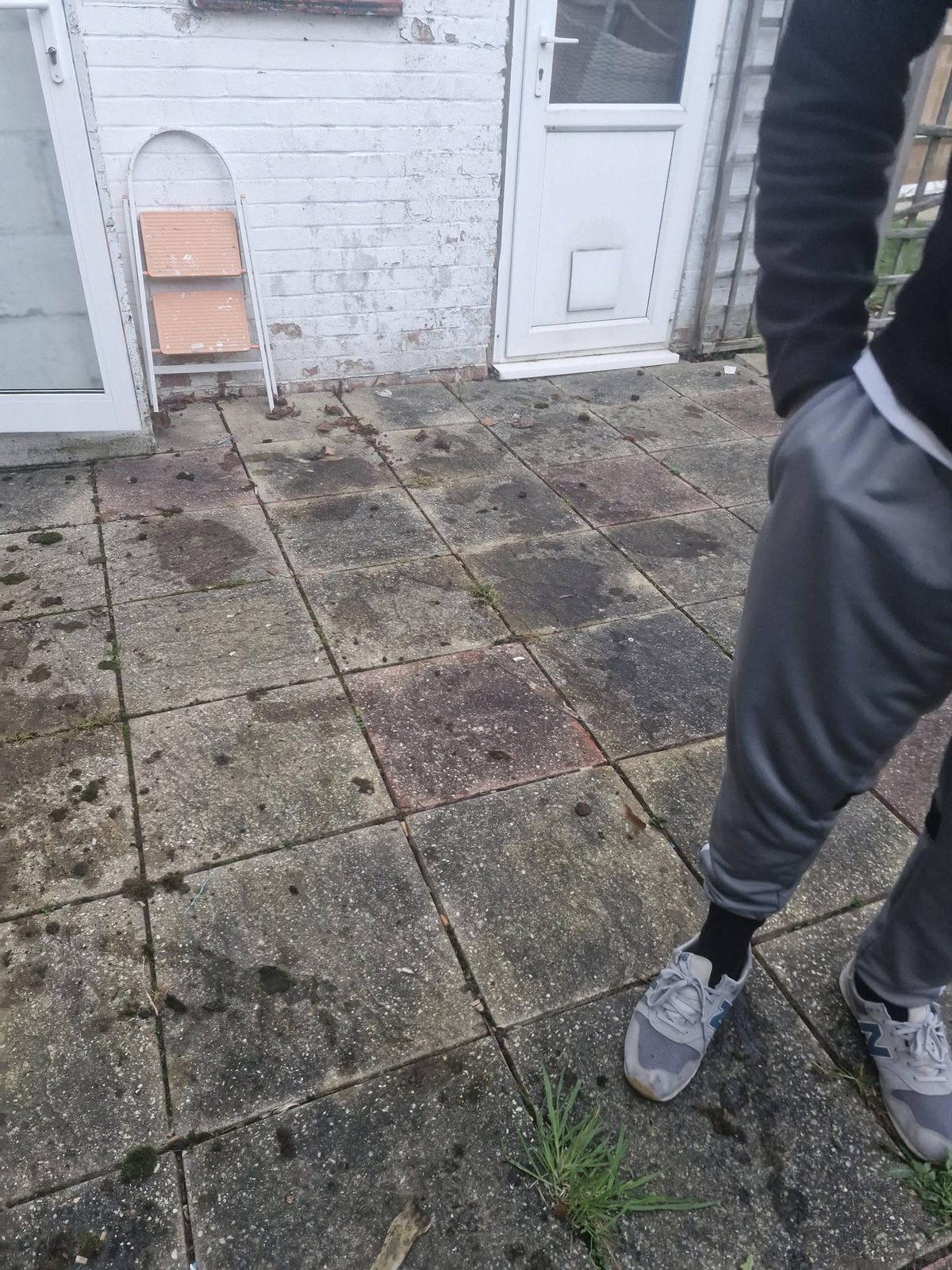Mixed Waste Clearance by Mr Shift It